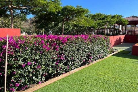 Landejendom i Santa Brigida, Gran Canaria, Santa Brigida - € 1.250.000 | Ref: 26062025 - foto 8