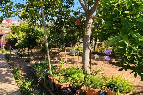 Landejendom i Santa Brigida, Gran Canaria, Santa Brigida - € 1.250.000 | Ref: 26062025 - foto 9