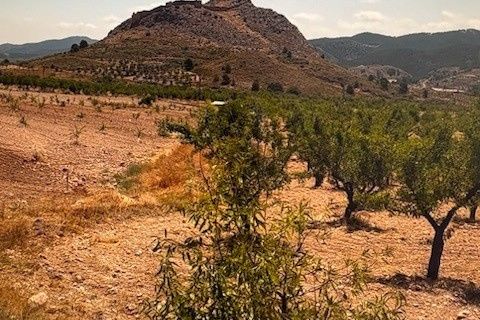 Terra a Lorca, Murcia, Lorca - € 149.000 | Ref: 1602 - foto 4