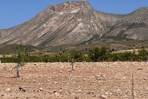 Terra a Lorca, Murcia, Lorca - € 149.000 | Ref: 1602 - foto 5