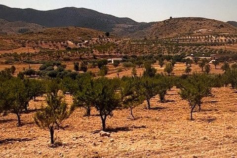 Terra a Lorca, Murcia, Lorca - € 149.000 | Ref: 1602 - foto 3