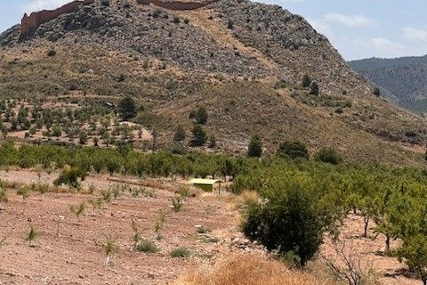 Terra a Lorca, Murcia, Lorca - € 149.000 | Ref: 1602 - foto 7
