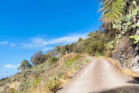 Landejendom i Santa Brigida, Gran Canaria, Santa Brigida - € 600.000 | Ref: 27062025 - foto 18