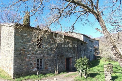 Villa a Pontremoli, Massa and Carrara, Pontremoli - € 1.100.000 | Ref: CBI129-2906-130509 - foto 18