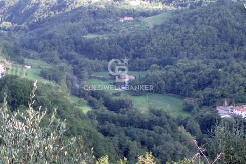 Villa a Pontremoli, Massa and Carrara, Pontremoli - € 1.100.000 | Ref: CBI129-2906-130509 - foto 23