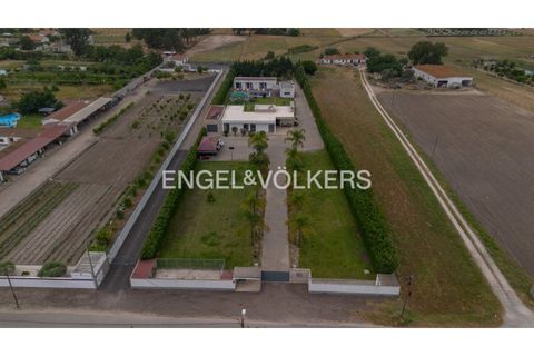Villa i Palmela, Setubal, Palmela - € 980.000 | Ref: W-030EIC - foto 36