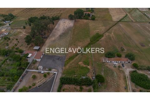 Villa i Palmela, Setubal, Palmela - € 980.000 | Ref: W-030EIC - foto 38