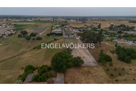 Villa i Palmela, Setubal, Palmela - € 980.000 | Ref: W-030EIC - foto 41