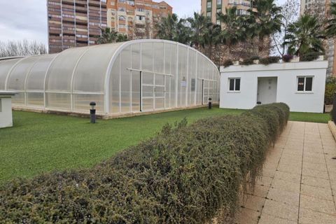 Leilighet i Benidorm, Alicante, Benidorm - € 299 000 | Ref: GHP0288 - foto 12