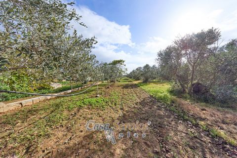 Villa i Matino, Lecce, Matino - € 69.000 | Ref: MEA-69 CAM - foto 10