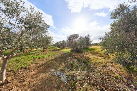Villa i Matino, Lecce, Matino - € 69.000 | Ref: MEA-69 CAM - foto 11