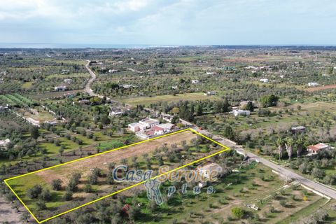 Villa i Matino, Lecce, Matino - € 69.000 | Ref: MEA-69 CAM - foto 16