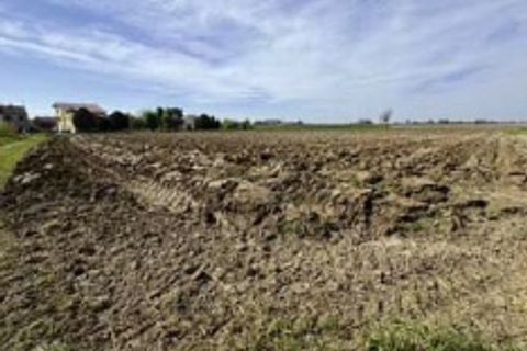 Terra a Nogara, Verona, Nogara - € 66.000 | Ref: GB00000000 - foto 6