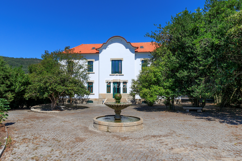Farm hus i Penafiel, Porto, Penafiel - € 1.230.000 | Ref: TAPT01-1442_AMV - foto 1