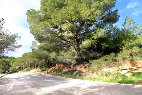 Helårsgrund i Cala Vinyes, Mallorca, Cala Vinyes - € 895.000 | Ref: 4003776 - foto 6