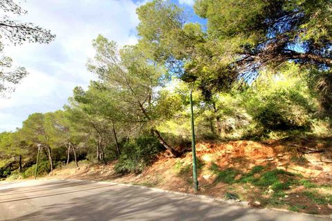 Helårsgrund i Cala Vinyes, Mallorca, Cala Vinyes - € 895.000 | Ref: 4003776 - foto 7
