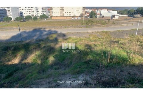 Tomt i Darque, Viana do Castelo, Darque - € 300 000 | Ref: VCM14462 - foto 23