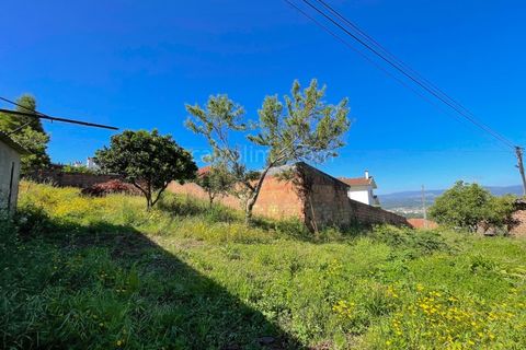 Helårsgrund i Gandra e Taiao, Viana do Castelo, Gandra e Taiao - € 36.000 | Ref: 4275 - foto 2
