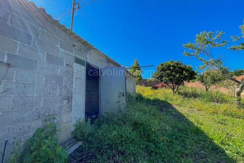 Helårsgrund i Gandra e Taiao, Viana do Castelo, Gandra e Taiao - € 36.000 | Ref: 4275 - foto 3