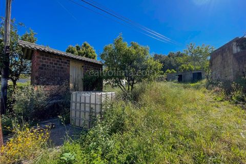 Helårsgrund i Gandra e Taiao, Viana do Castelo, Gandra e Taiao - € 36.000 | Ref: 4275 - foto 4