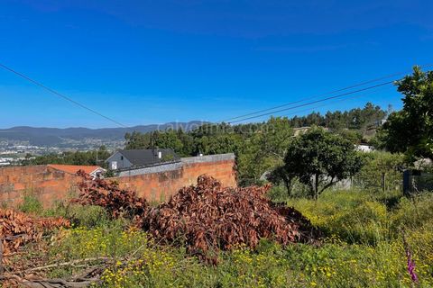 Helårsgrund i Gandra e Taiao, Viana do Castelo, Gandra e Taiao - € 36.000 | Ref: 4275 - foto 5