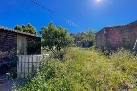 Helårsgrund i Gandra e Taiao, Viana do Castelo, Gandra e Taiao - € 36.000 | Ref: 4275 - foto 6