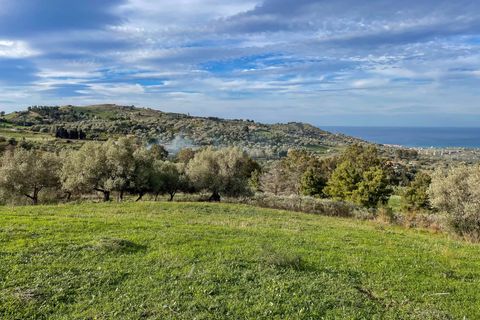 Terra a Collesano, Palermo, Collesano - € 99.000 | Ref: Plot Dispenza - Collesano - foto 2