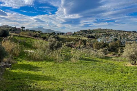 Terra a Collesano, Palermo, Collesano - € 99.000 | Ref: Plot Dispenza - Collesano - foto 3
