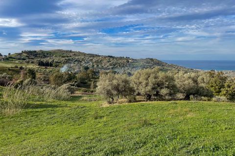 Terra a Collesano, Palermo, Collesano - € 99.000 | Ref: Plot Dispenza - Collesano - foto 4
