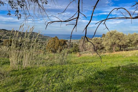 Terra a Collesano, Palermo, Collesano - € 99.000 | Ref: Plot Dispenza - Collesano - foto 5