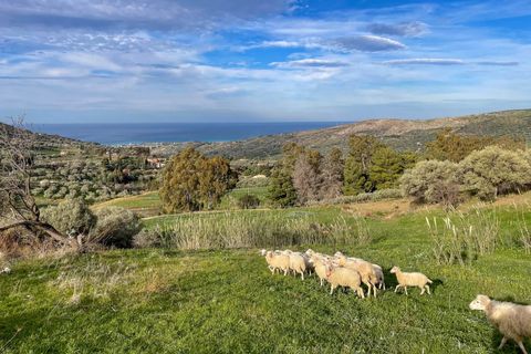 Terra a Collesano, Palermo, Collesano - € 99.000 | Ref: Plot Dispenza - Collesano - foto 7