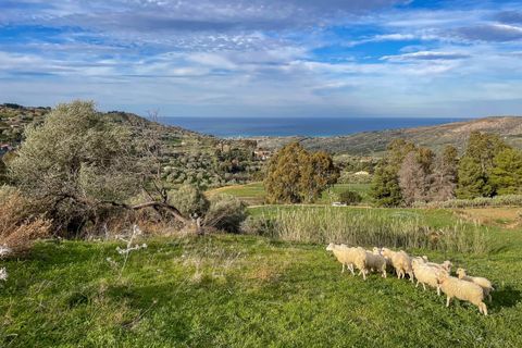 Terra a Collesano, Palermo, Collesano - € 99.000 | Ref: Plot Dispenza - Collesano - foto 8