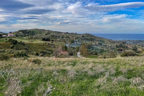 Terra a Collesano, Palermo, Collesano - € 99.000 | Ref: Plot Dispenza - Collesano - foto 10