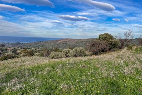 Terra a Collesano, Palermo, Collesano - € 99.000 | Ref: Plot Dispenza - Collesano - foto 11