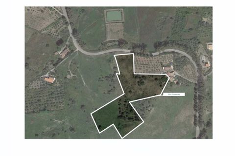 Terra a Collesano, Palermo, Collesano - € 99.000 | Ref: Plot Dispenza - Collesano - foto 13