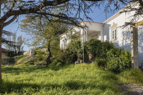 Farm i Alcabideche, Lisbon, Alcabideche - € 5.800.000 | Ref: ORIAPRO4579 - foto 4