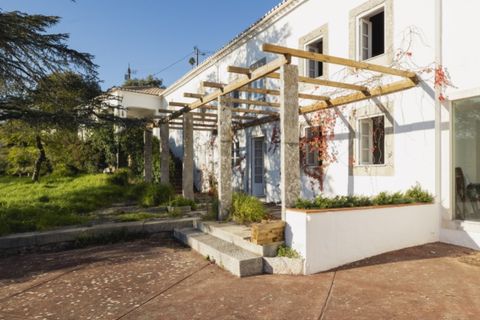 Farm i Alcabideche, Lisbon, Alcabideche - € 5.800.000 | Ref: ORIAPRO4579 - foto 5