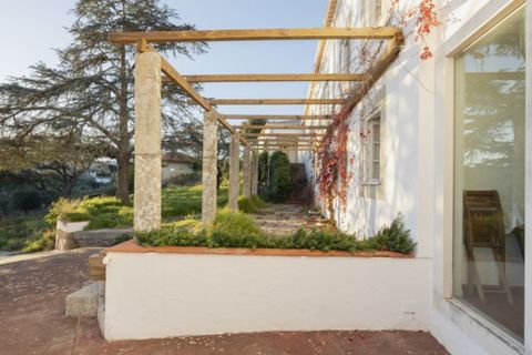 Farm i Alcabideche, Lisbon, Alcabideche - € 5.800.000 | Ref: ORIAPRO4579 - foto 8