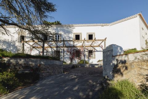 Farm i Alcabideche, Lisbon, Alcabideche - € 5.800.000 | Ref: ORIAPRO4579 - foto 11
