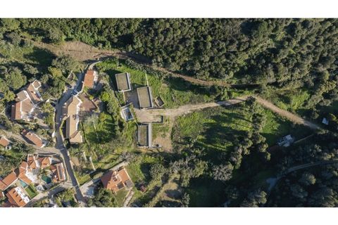 Farm i Alcabideche, Lisbon, Alcabideche - € 5.800.000 | Ref: ORIAPRO4579 - foto 39