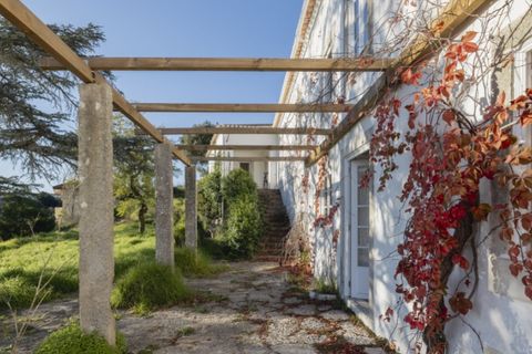 Landejendom i Alcabideche, Lisbon, Alcabideche - € 5.800.000 | Ref: ORIAPRO4580 - foto 6