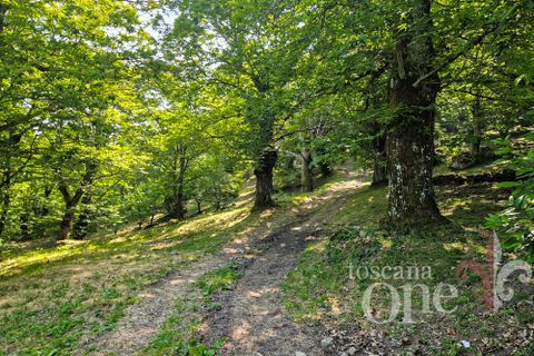 Villa a Arcidosso, Grosseto, Arcidosso - € 400.000 | Ref: 19049 - foto 10