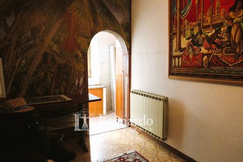 Villa i Camaiore, Lucca, Camaiore - € 239.000 | Ref: C297 - foto 15