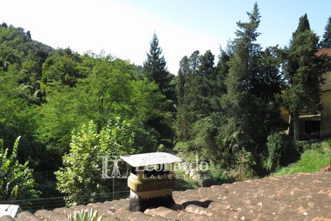 Villa i Camaiore, Lucca, Camaiore - € 239.000 | Ref: C297 - foto 21