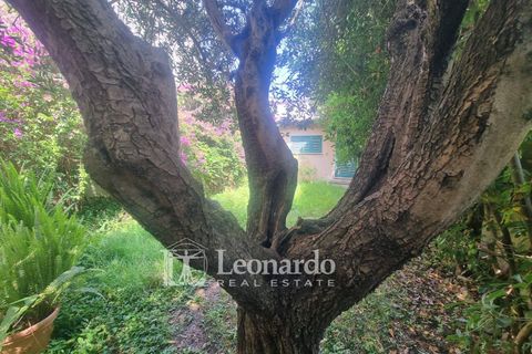 Villa a Viareggio, Lucca, Viareggio - € 820.000 | Ref: REA508 - foto 36