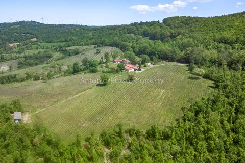 Villa i Scansano, Grosseto, Scansano - € 800.000 | Ref: T11-512859 - foto 1
