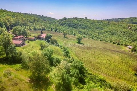 Villa i Scansano, Grosseto, Scansano - € 800.000 | Ref: T11-512859 - foto 3