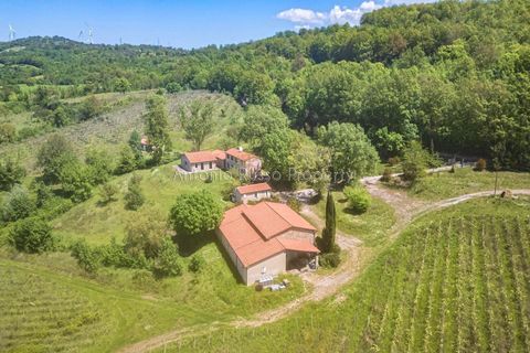 Villa i Scansano, Grosseto, Scansano - € 800.000 | Ref: T11-512859 - foto 4