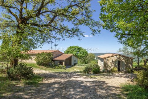 Villa i Scansano, Grosseto, Scansano - € 800.000 | Ref: T11-512859 - foto 5