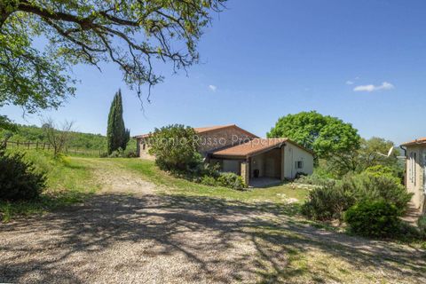 Villa i Scansano, Grosseto, Scansano - € 800.000 | Ref: T11-512859 - foto 6